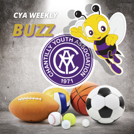 CYA Buzz Banner